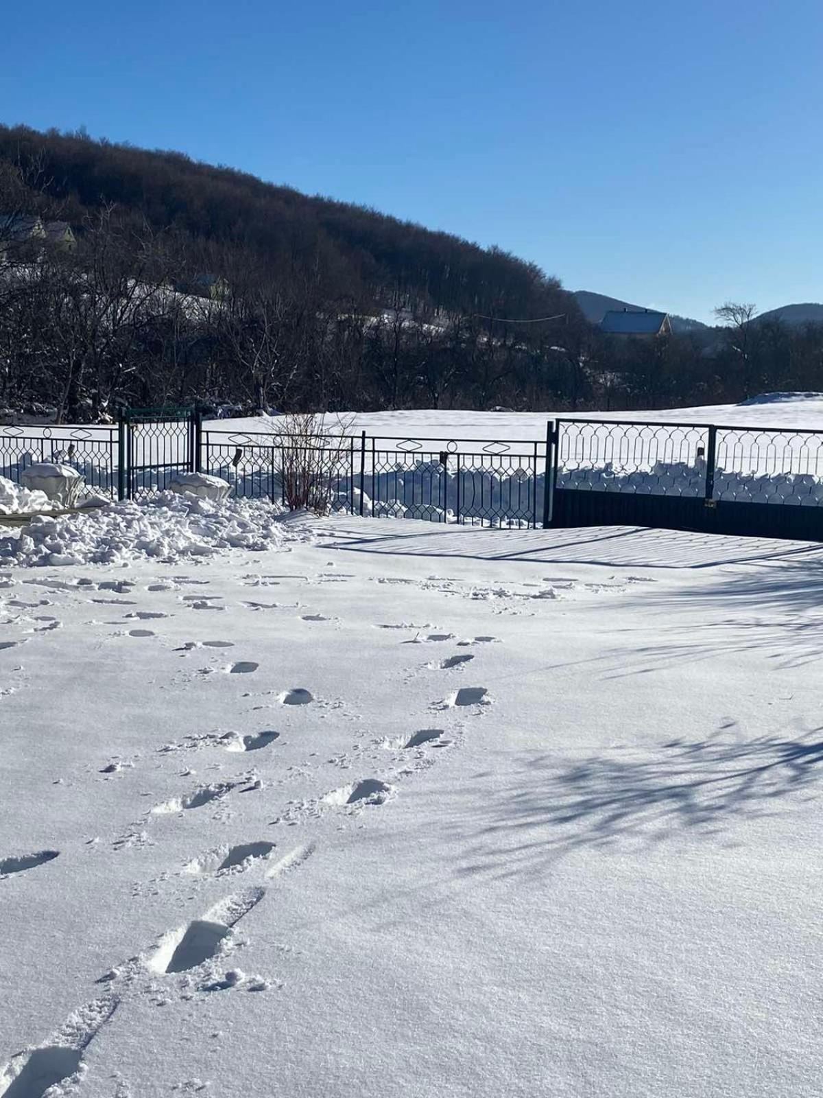 Vikendica Matic Vila Goc Exterior foto